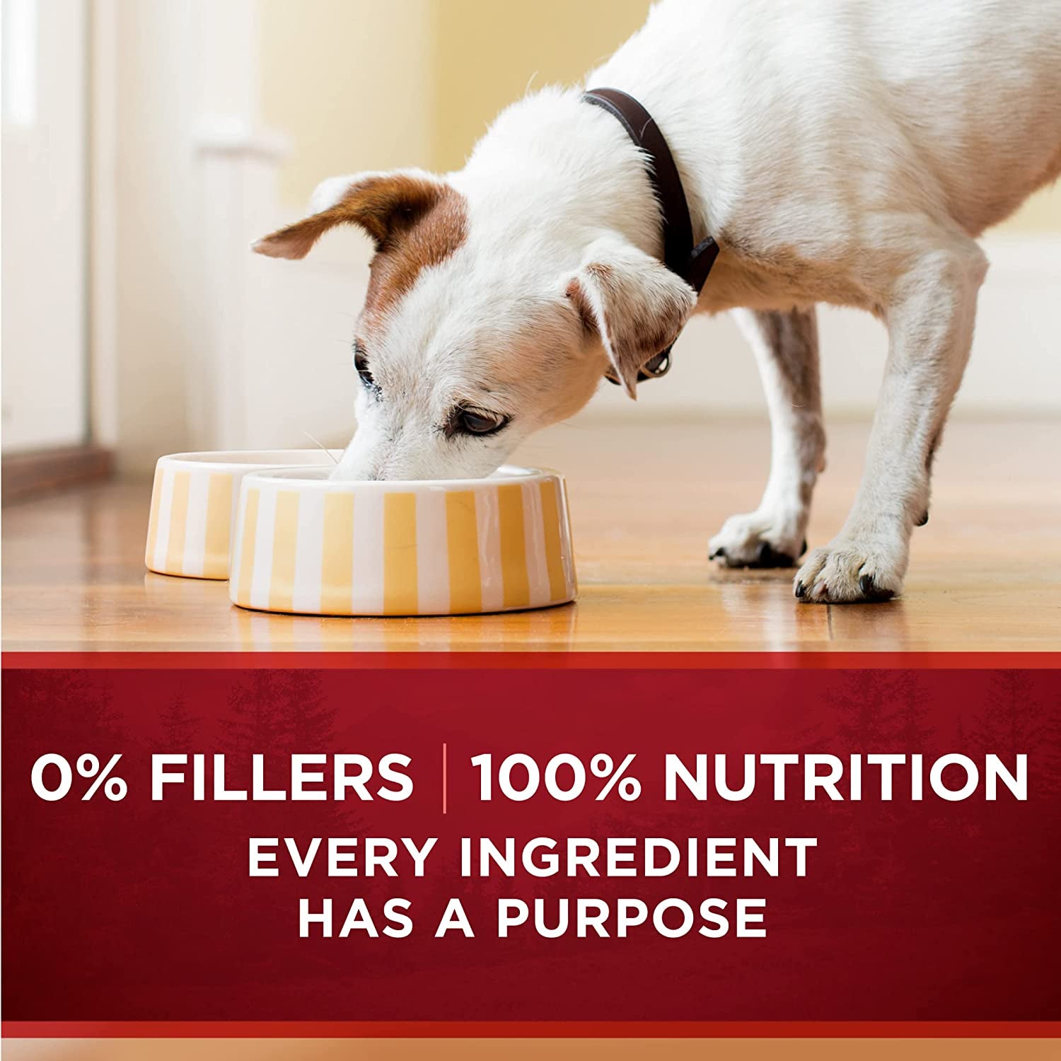 Smartblend True Instinct Adult Canned Wet Dog Food